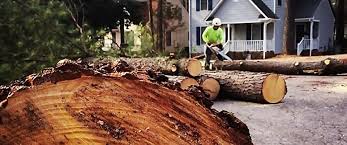 Best Firewood Processing and Delivery  in Penndel, PA