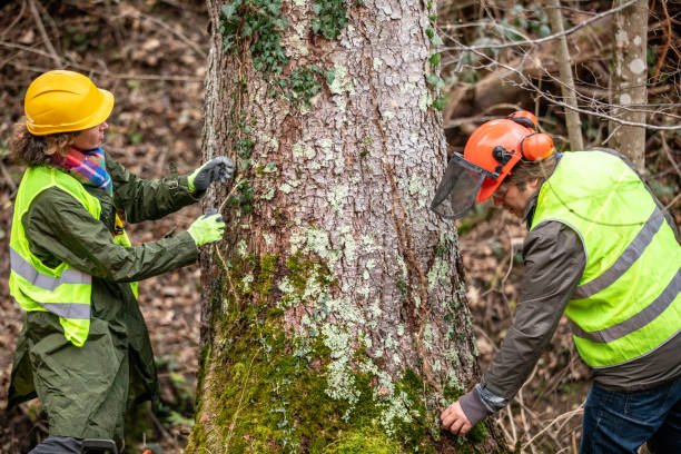 Best Tree Preservation Services  in Penndel, PA